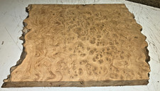 430X38X340MM LOT 636A BURR ELM