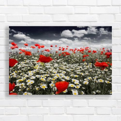 Vibrant poppy field original - vibrant,