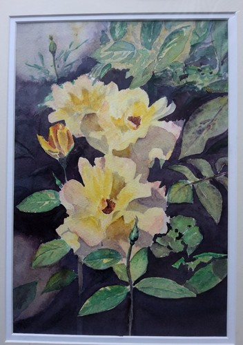 Patric bown yellow - bown.,