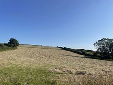Small bale hay - bale,