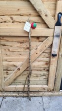 Twisted Twisty Wood Hazel