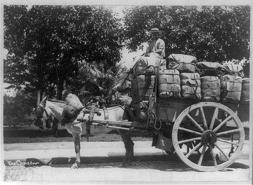 Photo cuba 1900s - photo:cuba, pair