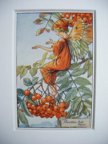 Vintage flower fairies print - vintage,