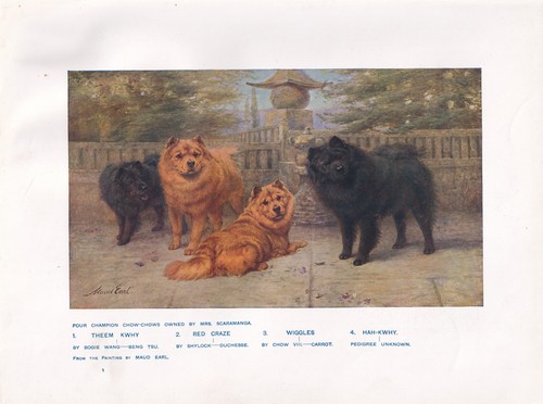 Chow dogs - dogs, antique