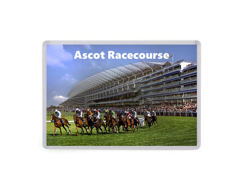 Ascot racecourse large fridge - ascot,