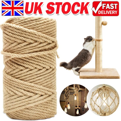 100m cat scratching - cat, sisal