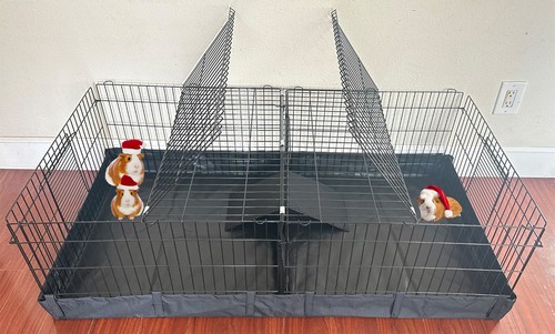 Large guinea pig - x-large, enclosure
