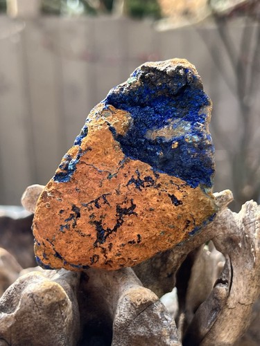 Large azurite malachite - large,