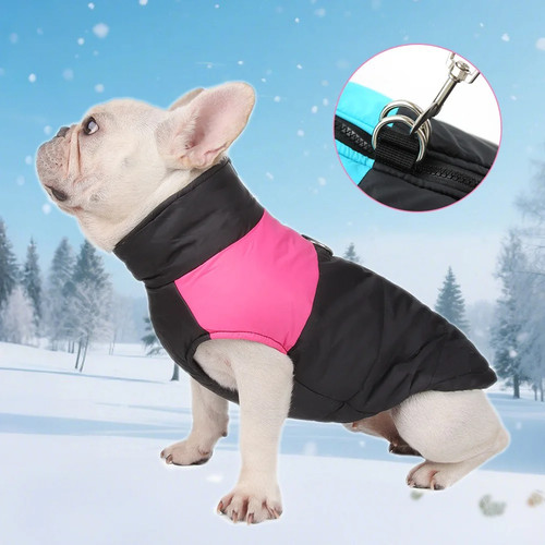 Winter dog coat warm padded - winter,