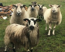 1 KG   SOFT WASHED FLEECE