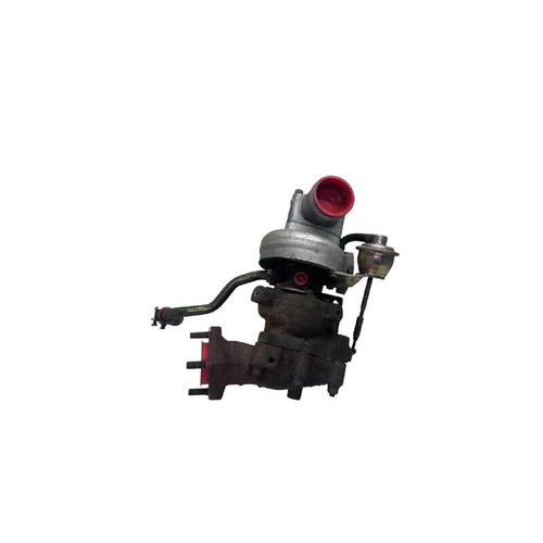 1441131n03 390068 - 1441131n03,