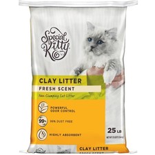 Fresh Scent Non-Clumping Clay