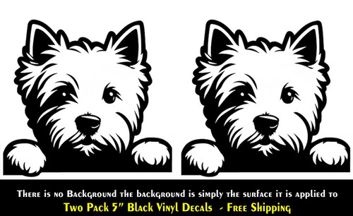 Westie west highland terrier - westie,