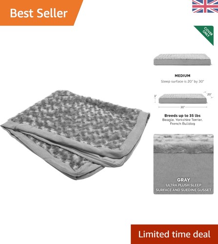Orthopedic dog bed - dog,