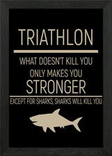 Triathlon Framed Wall Art