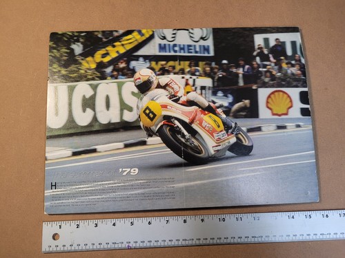 1979 mike hailwood rg500 - mike,
