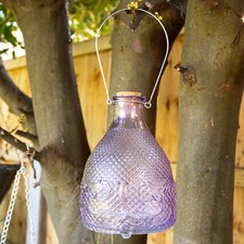 Hobnail Glass Wasp Trap