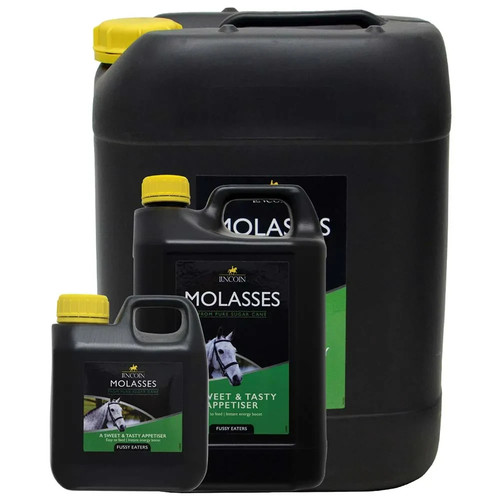 Lincoln molasses high - lincoln,