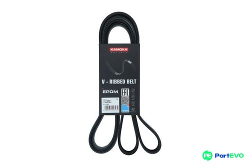 Kamoka ribbed belt 7016231 - kamoka,