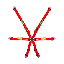 Schroth Enduro 2x2 Racing