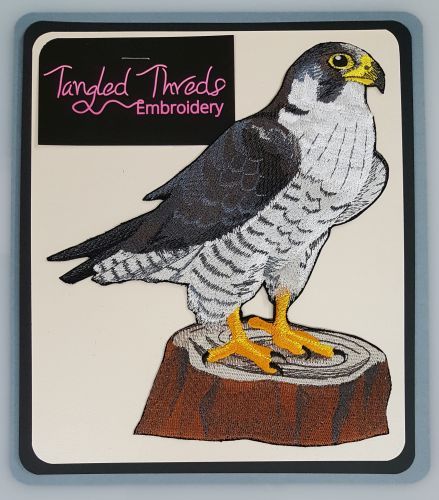 Peregrine falconer falconry - falconer,,