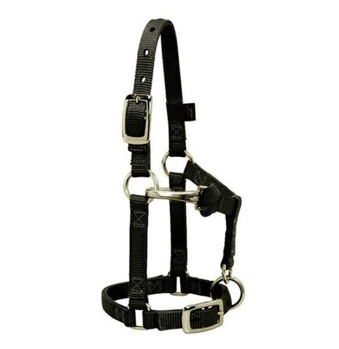 Miniature horse adjustable - miniature,
