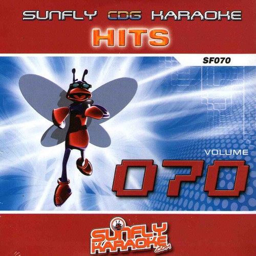 Sunfly hits karaoke disc - sunfly,
