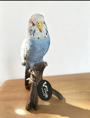 Vivid arts blue budgerigar - arts,