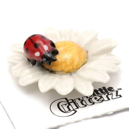 Little critterz ladybug - little,