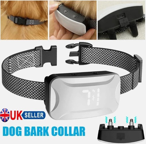 Electric shock dog collar - electric, e-collar