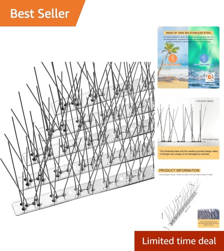 Bird spikes with stainless - with,