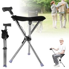 Walking Stick with Seat Height