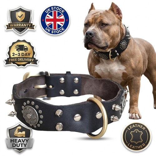 Leather spiked studded dog - leather,