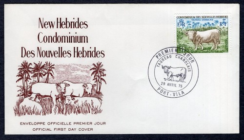 Fauna animal charolais bull - animal,