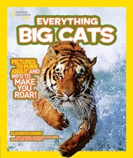 Everything Big Cats: Pictures