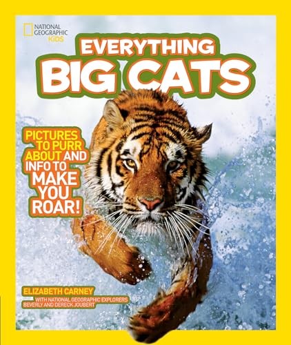 Everything big cats pictures - big, cats: