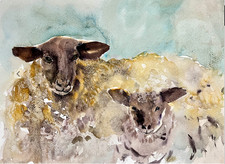 Original Watercolour art sprin