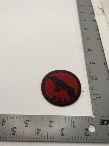 Raven patrol patch - raven,