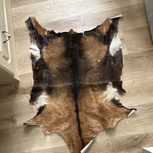 Animal skin rug goat - rug, ,