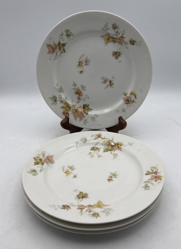 Haviland limoges france autumn - haviland,