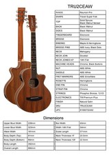 Guitar By Tanglewood, Model