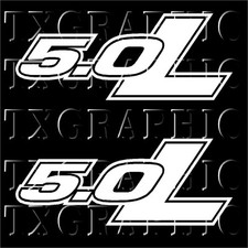 5.0 L LITER CC Engine Size