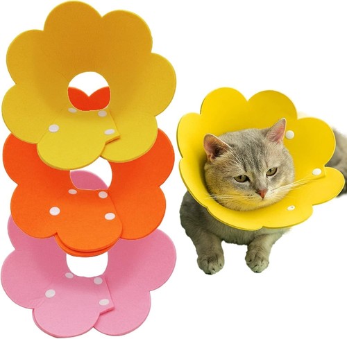Amexo piece cat - 3-piece,
