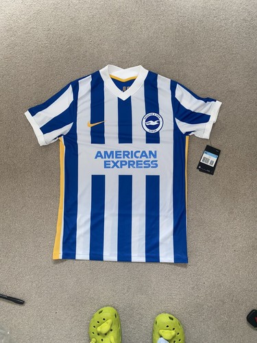 Brighton hove albion - brighton,