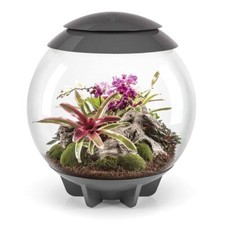 BIORB AIR 60L GREY TERRARIUM