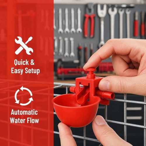 10pcs automatic poultry - 10pcs,