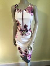 Ted Baker Nanina dress size 2