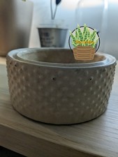 Textured Concrete Planter 