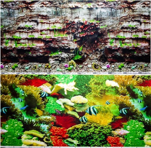 Aquarium fish tank - fish,