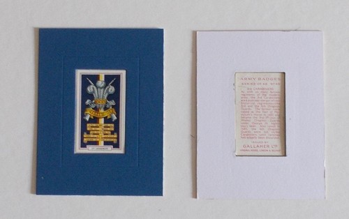 Cigarette card gallaher - by, gallaher's